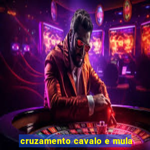 cruzamento cavalo e mula